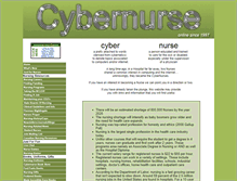 Tablet Screenshot of jt.cybernurse.com